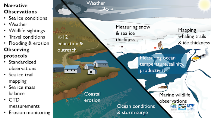 Figure 2. Conceptual model and overview of descriptive (or ‘narrative’) near-daily local observations and observations with protocols. Narrative observations typically include photos, location, and description that reflect the conditions whereas observations collected via a mobile app have a set of required and standardized data fields. Observers record observations via either or both methods. Additional standardized measurements are collected via observing protocols in specific communities. Figure courtesy of IARC, AAOKH, and UAF. 