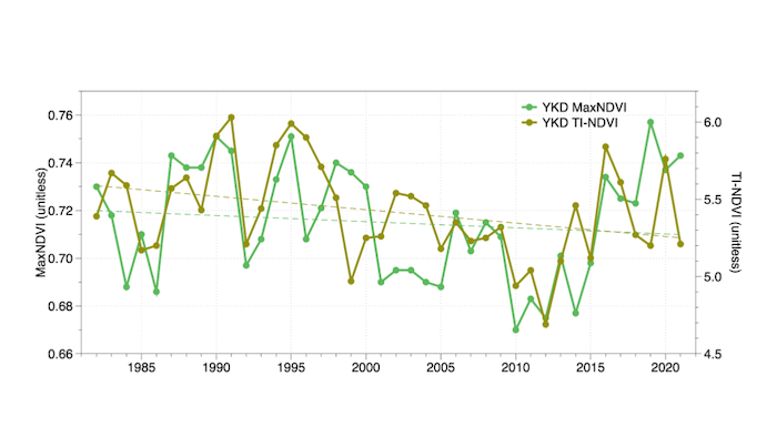 Figure 2: Time-series of Time-Integrated Normalized Difference Vegetation Index (TI-NDVI; olive) shows low-frequency decadal variability and negative trend-line (dashed). Figure courtesy of Uma Bhatt, University of Alaska Fairbanks.