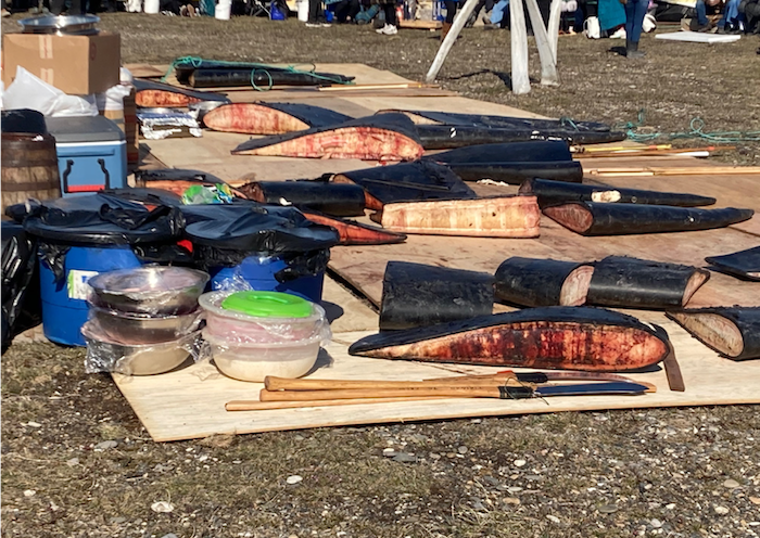 Figure 3. Whale meat being prepared for distribution. Photo courtesy of M. Koskey.