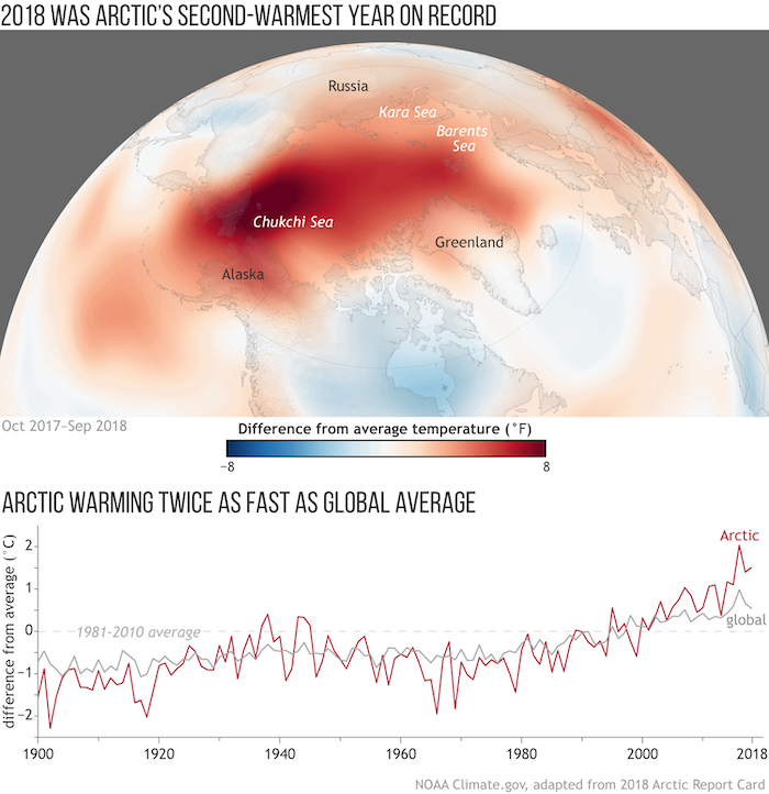 Figure 1. (top) Surface temperature in the Arctic from 1 October 2017— 30 September 2018, compared to the 1981—2010 average, based on National Centers for Environmental Prediction (NCEP) Reanalysis data from NOAA Earth System Research Laboratory (ESRL). (bottom) Annual Arctic (red line) and global (gray line) air temperatures over land stations since 1900 compared to their 1981—2010 averages. Adapted from Figure 1 in the 2018 Arctic Report Card.
