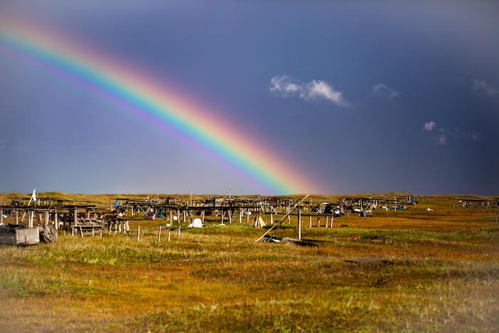 Figure 1. Rainbow over racks of drying seal or “*ugruk*” meat in Nigiitchiak, Alaska. Photo courtesy of Dennis Davis, all rights reserved, do not reprint without permission.