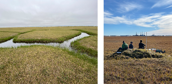 Figure 1. The NIRPO research site. The observatory includes a wide variety of landforms typical of ice-rich permafrost landscapes in the Prudhoe Bay Oilfield, including: flat-centered ice-wedge polygons with degraded ice-wedges and thermokarst ponds (left), photo courtesy of Jana Peirce; and small bird mounds with rich plant communities (right), photo courtesy of Amy Breen.