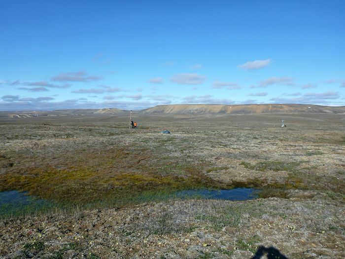 Figure 3. Thaw ponds and hummocky terrain on what was previously a level landscape at the Mould Bay monitoring station on Prince Patrick Island. Photo courtesy of Bill Cable. 