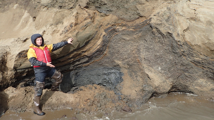 Figure 5. Louise Farquharson (UAF) shows off a unique paleo beach ridge deposit that lies along the northern shoreline of Teshekpuk. A recent study focused on this ancient feature has us rethinking sea level history along the Beaufort Sea coast (Farquharson et al., 2018). Image courtesy of Benjamin M. Jones.
