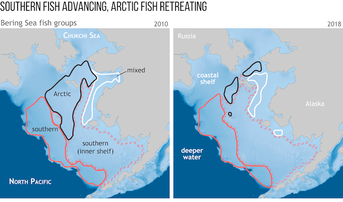 Figure 2. These maps show how the location of Arctic and sub-Arctic fish communities have changed over the past decade or so in the coastal shelves of the Bering Sea. The ranges of communities of southern species (red solid and dotted outlines) have expanded northward, while the range of Arctic species (black) have contracted northward. Figure courtesy of NOAA Climate.gov, adapted from 2019 Arctic Report Card essay by J. Thorson et al, &#39;Comparison of Near-bottom Fish Densities Show Rapid Community and Popul