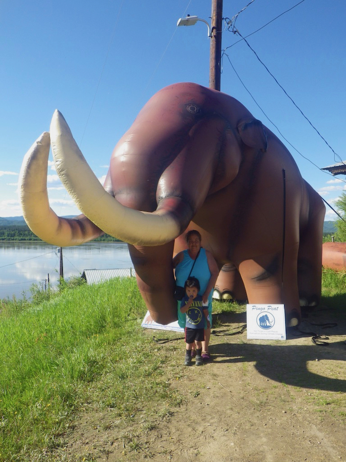 Figure 2. During our prior project on permafrost, we got the word out in the villages we visited by inflating &quot;Pingo Peat,&quot; a life-size bull mammoth, symbolic of these giants who roamed Alaska when the permafrost was forming. In this photo, &quot;Pingo Peat&quot; is in Ruby, Alaska. Photo courtesy of M. Sturm.