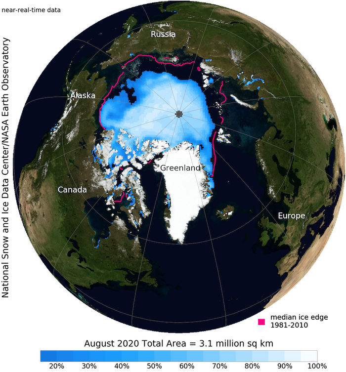 Figure 2. Arctic sea-ice concentration as observed by satellites in August 2020 (shadings) with the 1981-2010 median ice edge (pink line). Image courtesy of the National Snow and Ice Data Center.